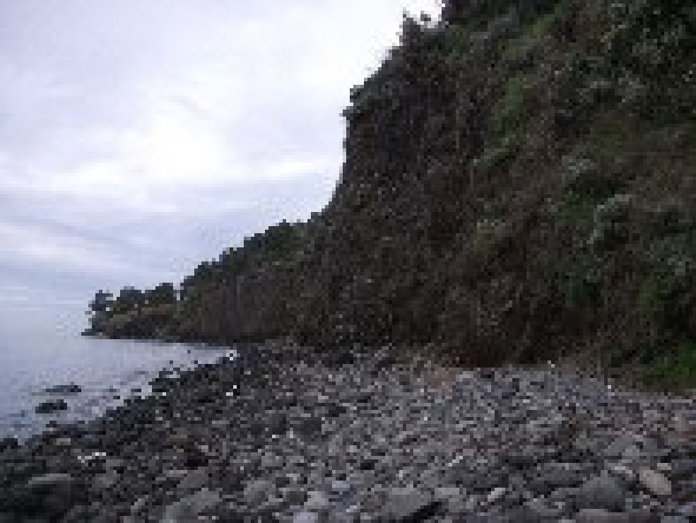 Praiola